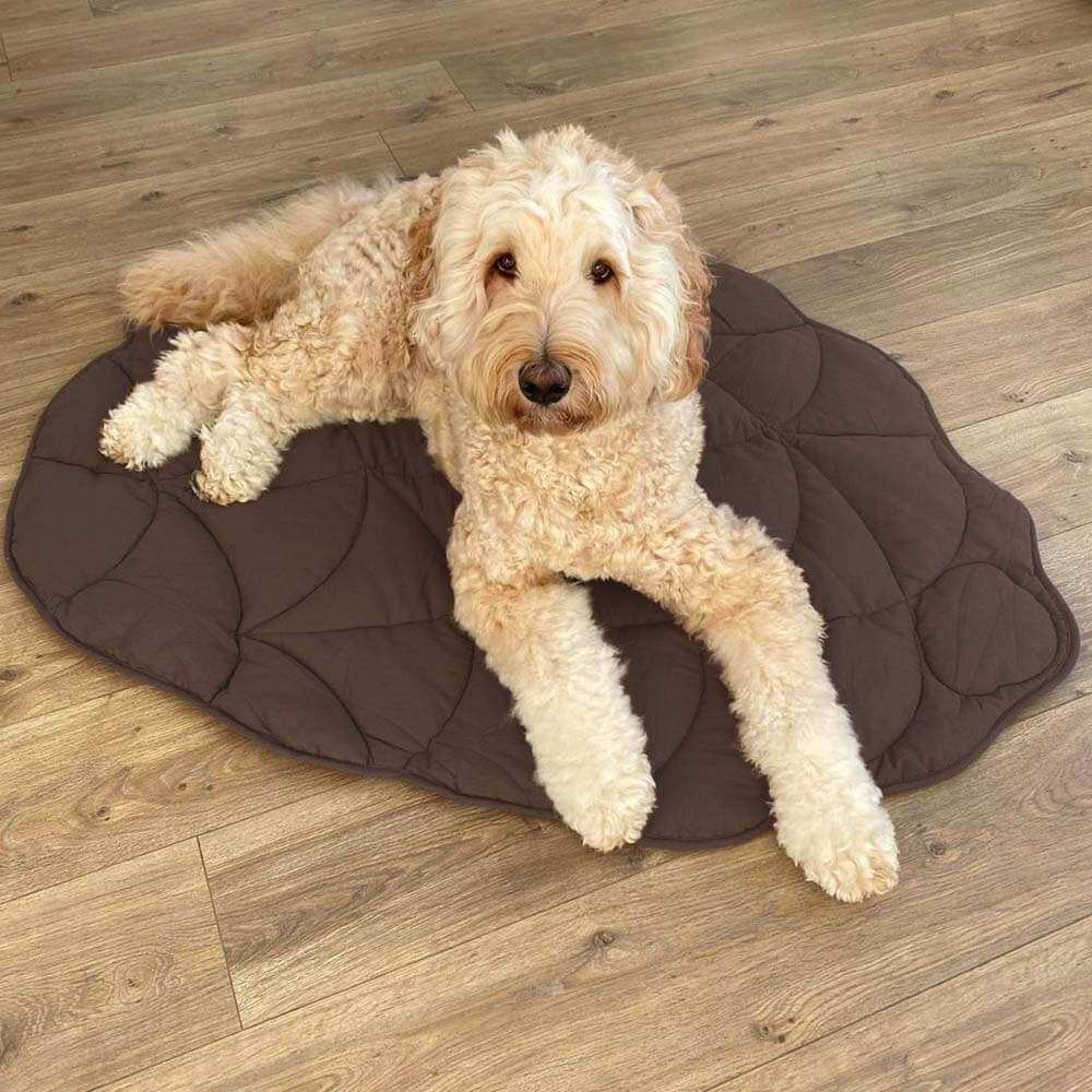 Gemütliche Decke für Hunde, große Begleiter-Plaid