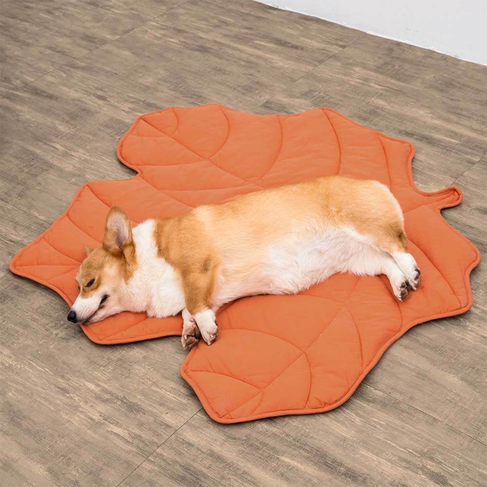 Gemütliche Decke für Hunde, große Begleiter-Plaid