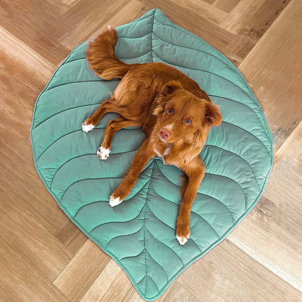 Gemütliche Decke für Hunde, große Begleiter-Plaid