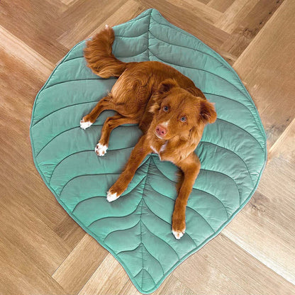 Gemütliche Decke für Hunde, große Begleiter-Plaid