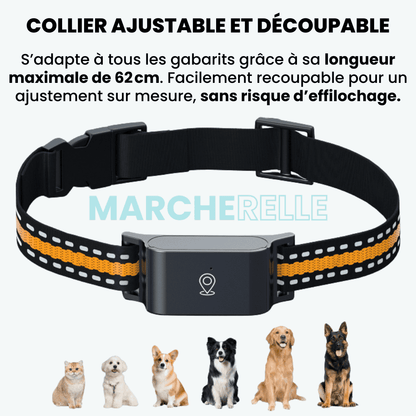 Marcherelle™ – Collier GPS Chat Sans Abonnement Suivi Précis & Illimité