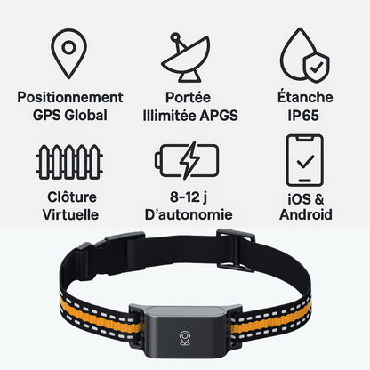 Marcherelle™ – Collier GPS Chat Sans Abonnement, Suivi en Temps Réel