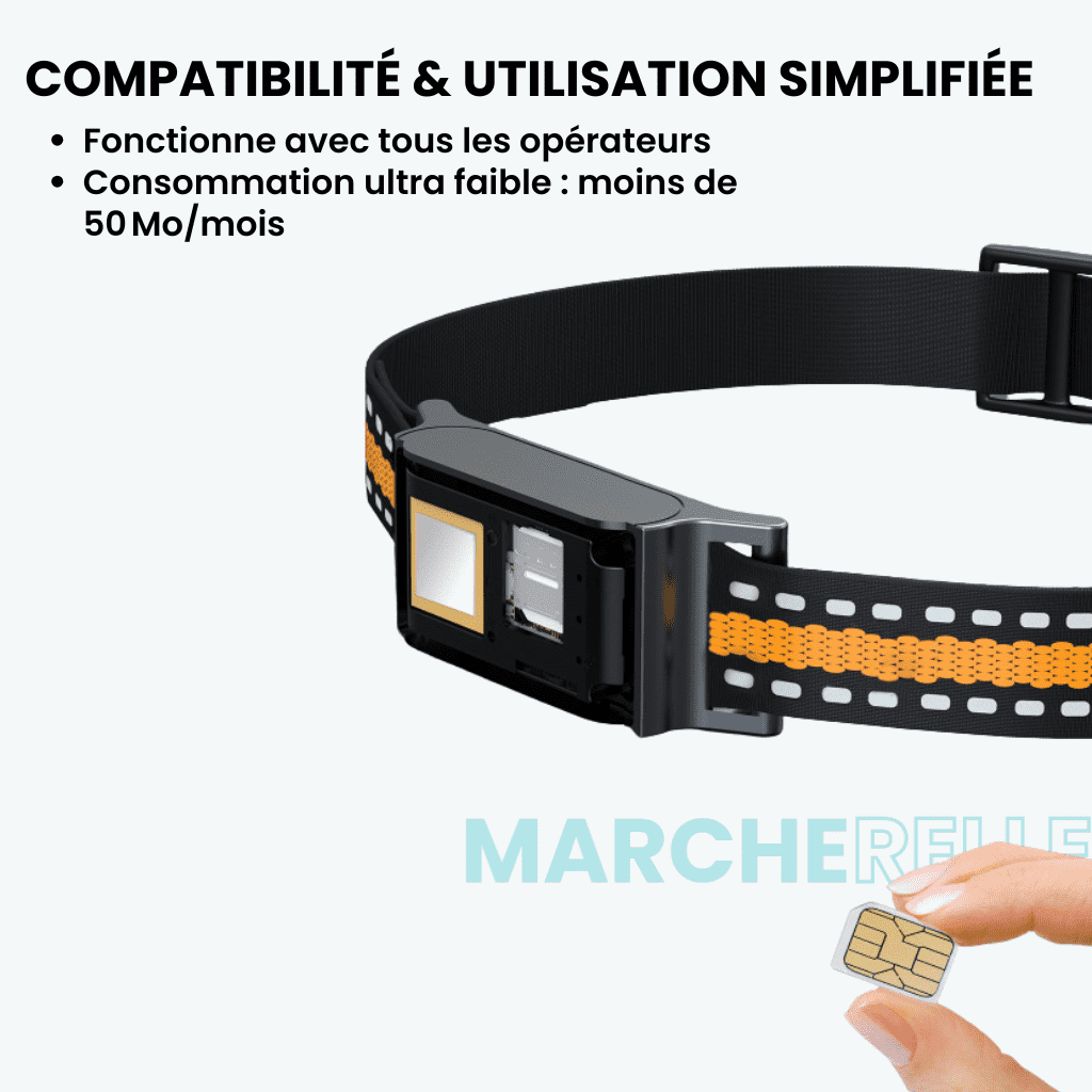 Marcherelle™ – Collier GPS Chat Sans Abonnement, Suivi en Temps Réel