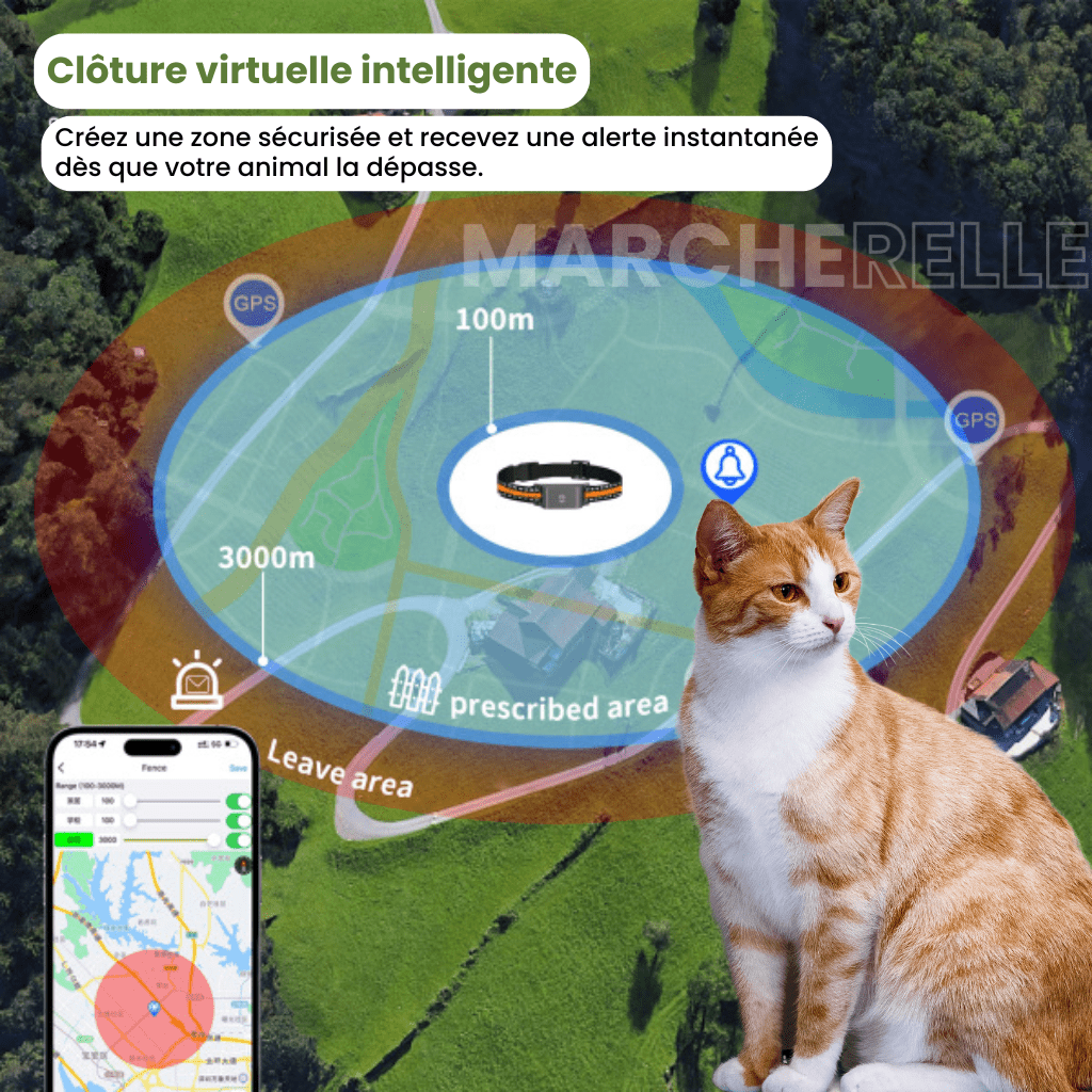Marcherelle™ – Collier GPS Chat Sans Abonnement, Suivi en Temps Réel