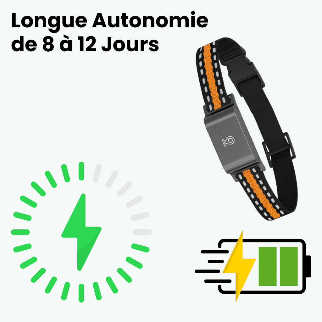 Marcherelle™ – Collier GPS Sans Abonnement avec Suivi en Temps Réel
