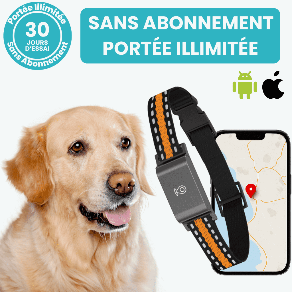 Marcherelle™ – Collier GPS Sans Abonnement avec Suivi en Temps Réel