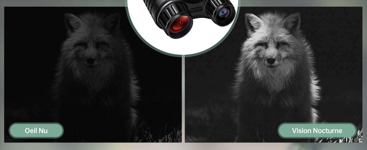 Marcherelle™ – Jumelles Vision Nocturne Infrarouge 300M avec Zoom 8X