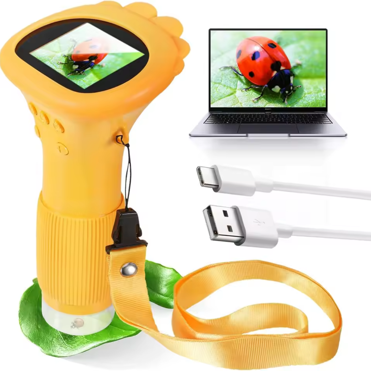 Kinder-Mikroskop mit Farb-Digitalbildschirm