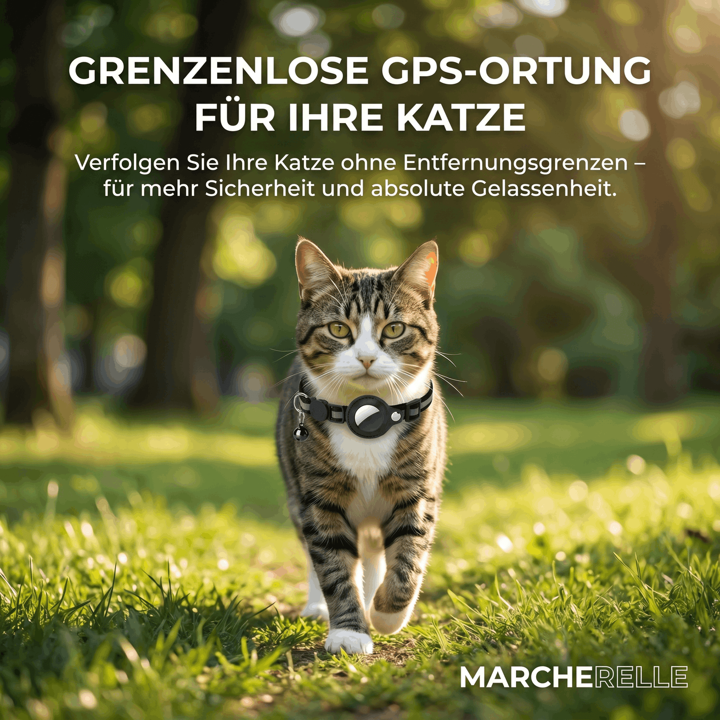 Macherelle™ – GPS-Halsband für Katzen Kein Abonnement | Kompatibel mit iOS & Android