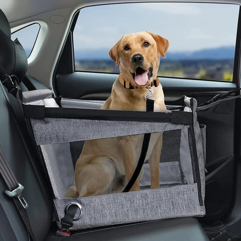 Hundetransportkorb fürs Auto