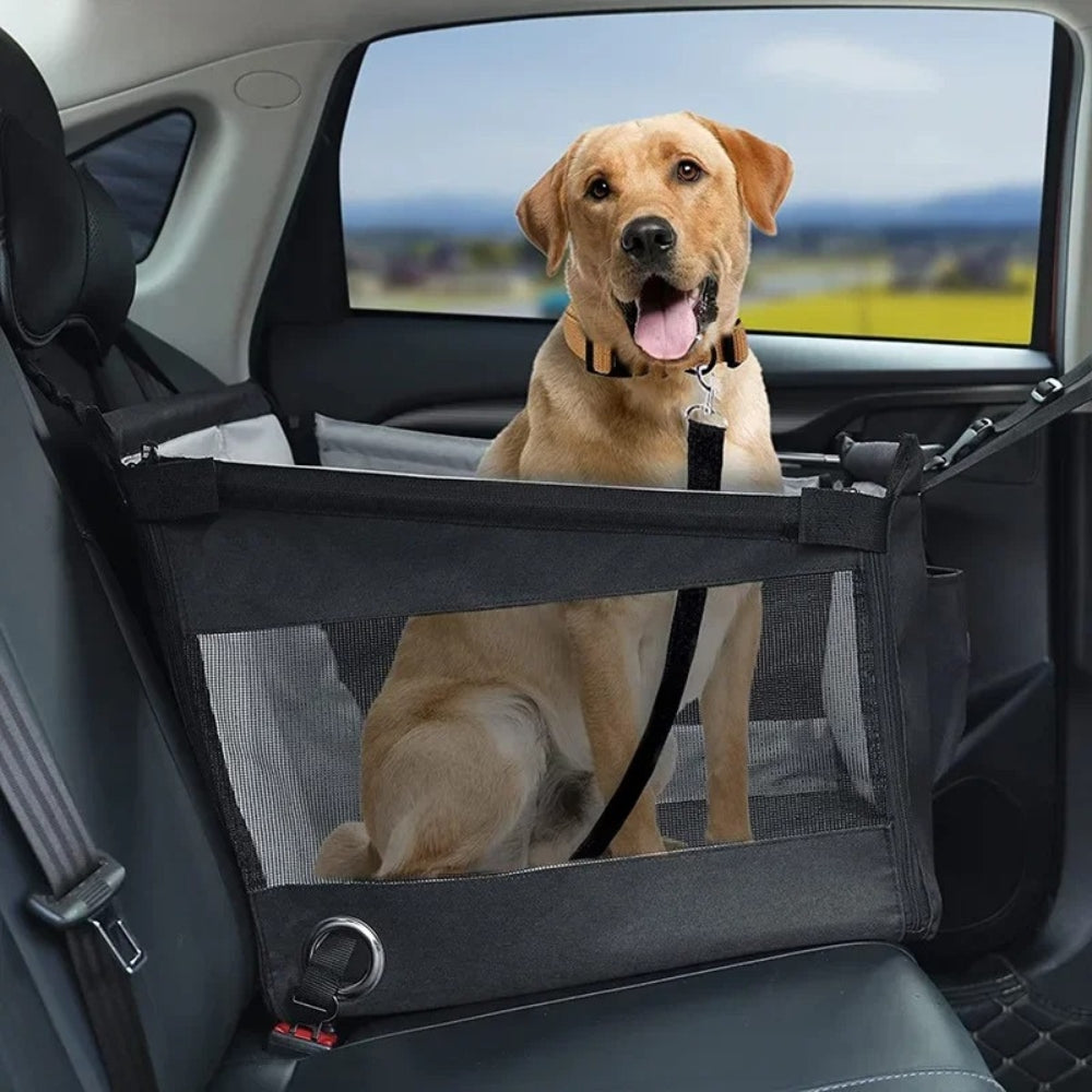 Hundetransportkorb fürs Auto